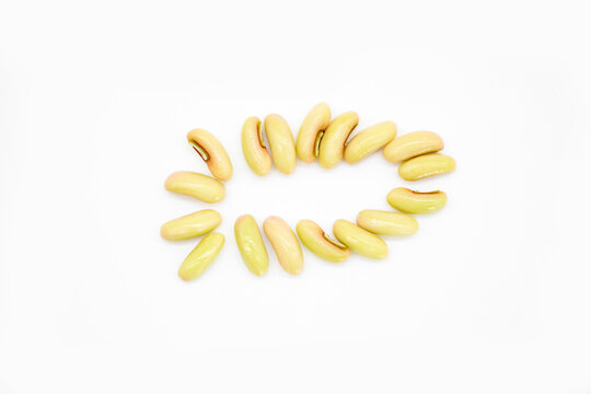 selective focus, Yard Long Bean seed on white background