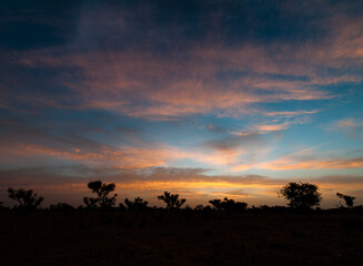 La naissance du monde