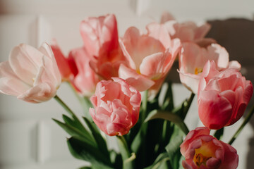Bouquet of white and pink tulips. - obrazy, fototapety, plakaty