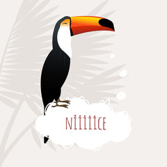 A vector illustration of a toco toucan bird sitting on a speech bubble. Colourful gradient toucan on a light background, text is present