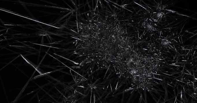 Ice crystals on a black background.