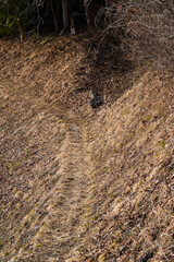 細い山道　辰野町