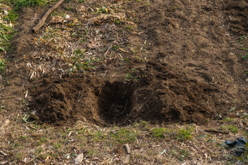 畑の穴
