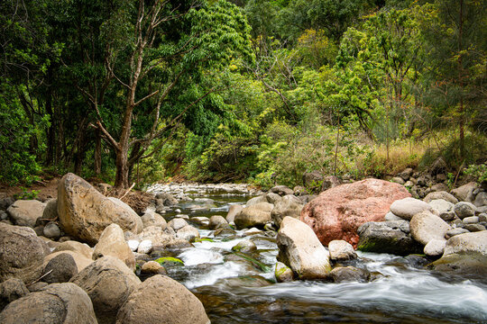 Stream flowing through large boulders beneath a verdant tropical forest depicting concepts for the environment,  wellness, peace, tranquility
