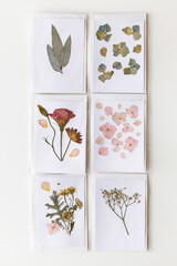 Postcard with dried flowers. gift card