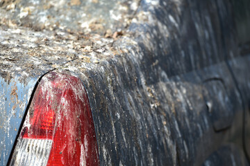 A car completely covered in bird poop