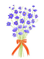 Digital paint watercolor technique illustration of cute blue flower bouquet tie with red ribbon represent refreshing of spring season greeting idea for card and decoration