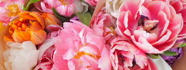 close up of pink rose petals