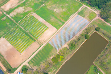 Fototapeta premium Aerial top view of roof of garden plant industry farm in agriculture concept with paddy rice field. Hydroponic natural food. Crops. Nature landscape background.