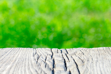 Old wooden plank on a blurred green leafy background. Place for text, basis for postcards.