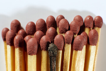 Close-up of a single burnt match in a group of matches.