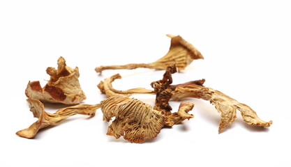 Close up dried chanterelle mushroom, (Cantharellus cibarius) isolated on white