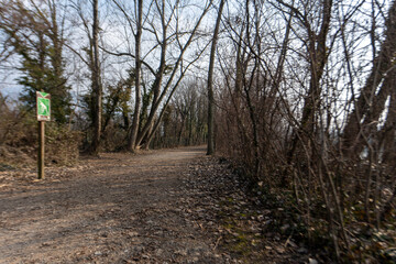 Torbiere, sebino, Iseo , lago, Brescia, Lombardia, verde, sentiri