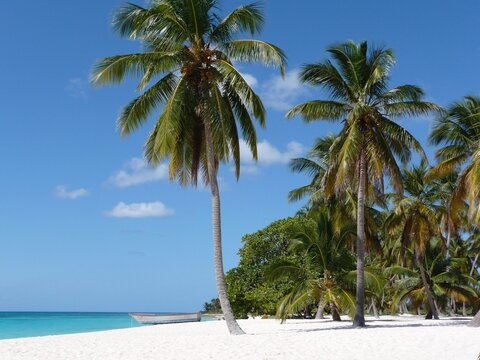 Sandstrand in der Karibik