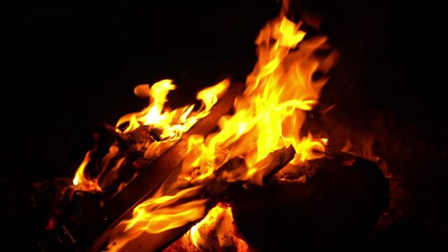 Fire and Firewood