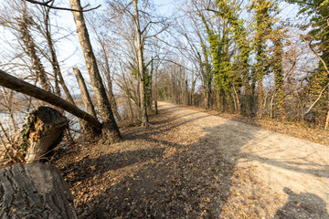 Torbiere, sebino, Iseo , lago, Brescia, Lombardia, verde, sentiri