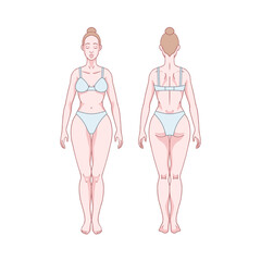 White woman figure standing, silhouette, front and back view. Male body anatomy diagram. Removable underwear. Vector illustration - 496924738