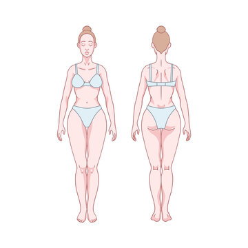 White woman figure standing, silhouette, front and back view. Male body anatomy diagram. Removable underwear. Vector illustration