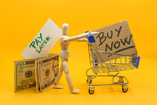BNPL Buy now pay later online shopping concept