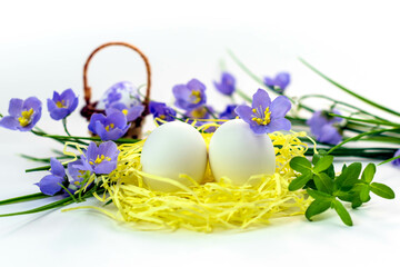 Easter eggs in the nest and spring flowers on a white background.Happy easter concept.