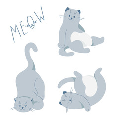 Set of cute grey cats. Cartoon character. Pet animal collection
