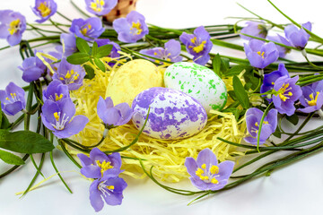 Easter eggs in the nest and spring flowers on a white background.Happy easter concept.