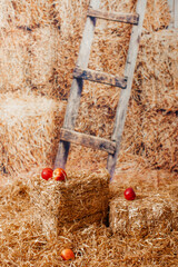 A farm-themed rustic scene with hay, apples, and a wooden ladder.
