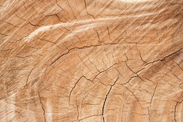 Wood Texture Background, top view wooden plank panel