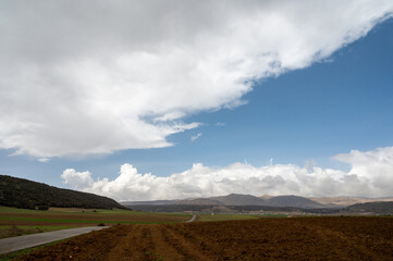 Panoramic view on agricultural valley Zafarraya with fertile soils for growing of vegetables, green lettuce salad, cabbage, artichokes, Andalusia, Spain