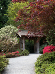 Springtime on the grounds of Yao Japanese Garden, part of Bellevue Botanical Garden - WA, USA