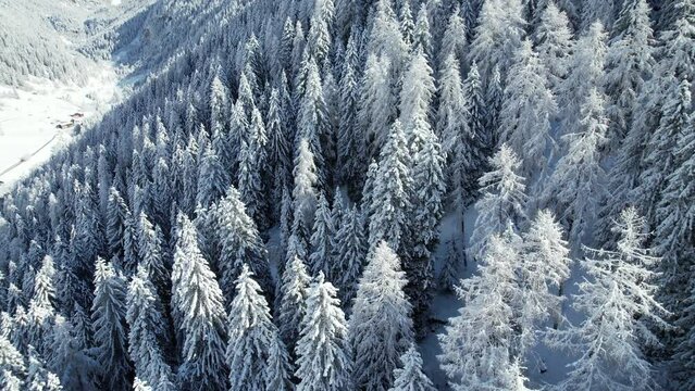 neve inverno nevicata vallata 