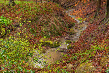 Leimbach creek near Zurich Zoo garten with deep valley