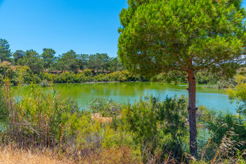 Landscape of natural park of Ria Formosa at Portugal