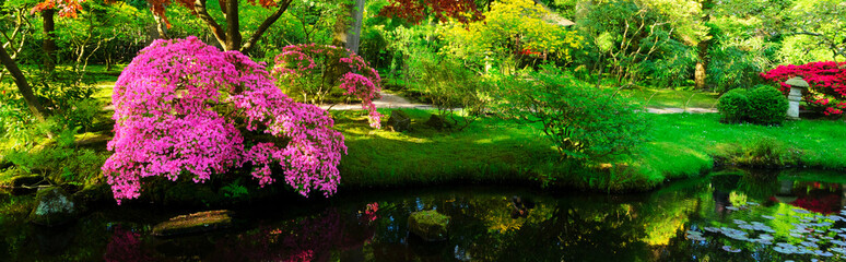 japanese garden in The Hague