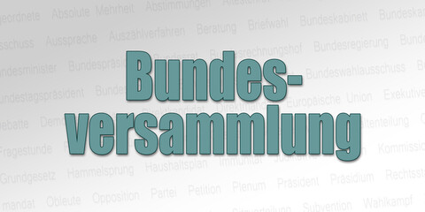 Politischer Begriff - Bundesversammlung