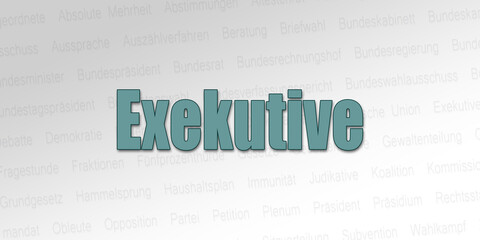 Politischer Begriff - Exekutive