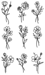 Selection of flower stems poppy rose daisy line art editable outline vector svg