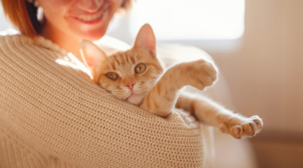 Young asian woman wears warm sweater resting with tabby cat on sofa at home one autumn day. Indoor shot of amazing lady holding ginger pet. Morning sleep time at home. Soft focus.