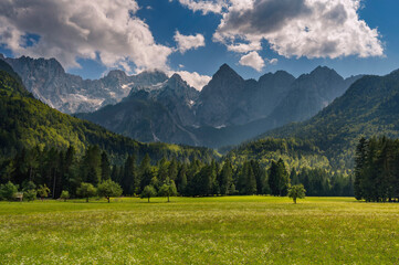 Panoramic landscape of The Julian Alps in Slovenia during summer