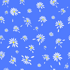 Pattern with white daisies on a blue background. Beautiful floral seamless pattern