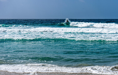 Ocean surfing beach sun