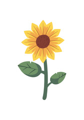 cute flat sunflower illustration