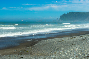 Olympic National Park Rialto Beach, Washington State	