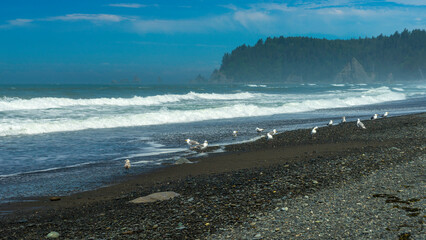 Olympic National Park Rialto Beach, Washington State	
