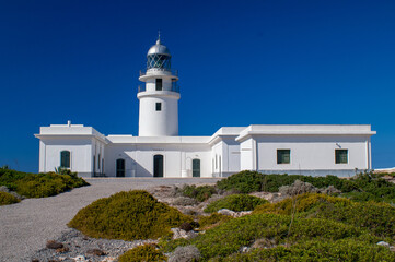 Fototapeta na wymiar white lighthouse building with green plants in front against deep blue sky