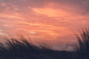 danish dune at sunset with red sky