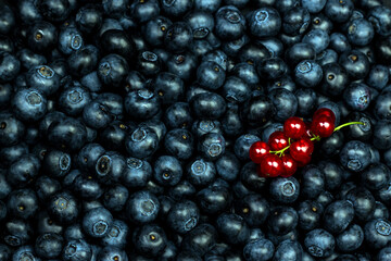 berries background. Ripe blueberry and red currant top view flat lay image.