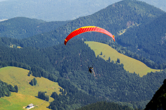 Paraglider tandem against green forest
