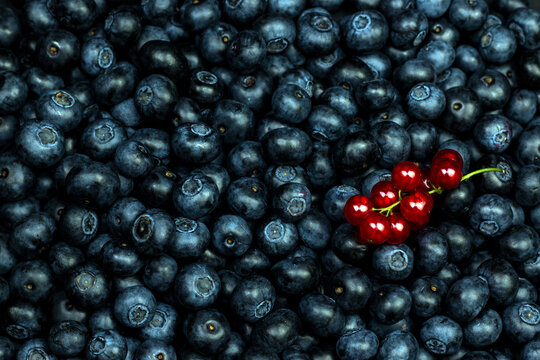berries background. Ripe blueberry and red currant top view flat lay image.