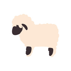 flat cute sheep design